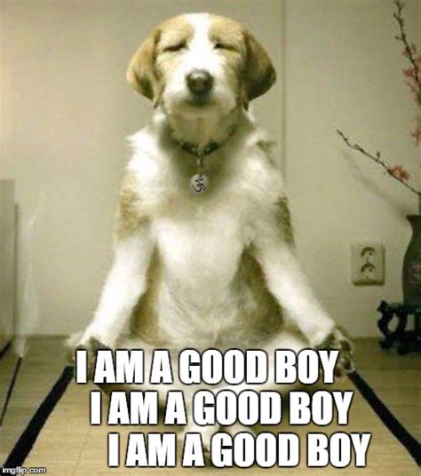 good boy meme|More.